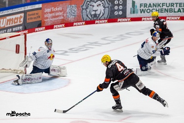 Löwen Frankfurt - EHC Red Bull München - 3.12.24 - 139
