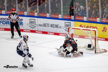 Löwen Frankfurt - EHC Red Bull München - 3.12.24 - 145