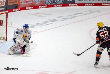 Löwen Frankfurt - EHC Red Bull München - 3.12.24 - 146