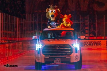 Löwen Frankfurt - Iserlohn Roosters - 14.11.24 - 011
