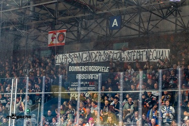 Löwen Frankfurt - Iserlohn Roosters - 14.11.24 - 024