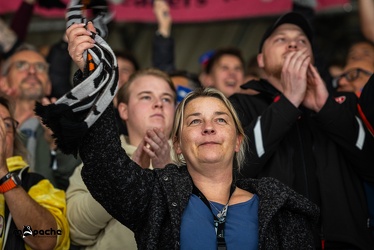 Löwen Frankfurt - Iserlohn Roosters - 14.11.24 - 033