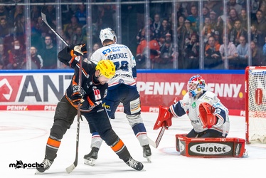 Löwen Frankfurt - Iserlohn Roosters - 14.11.24 - 036