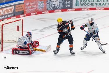 Löwen Frankfurt - Iserlohn Roosters - 14.11.24 - 042