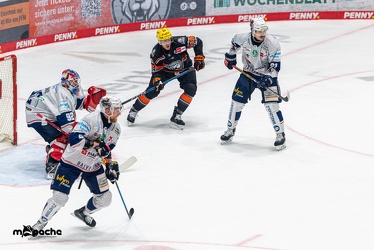 Löwen Frankfurt - Iserlohn Roosters - 14.11.24 - 044