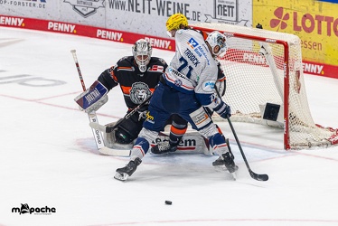 Löwen Frankfurt - Iserlohn Roosters - 14.11.24 - 046