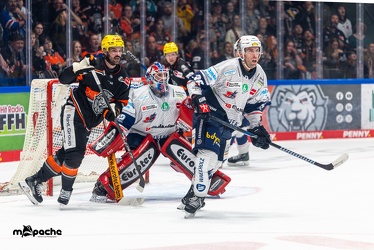 Löwen Frankfurt - Iserlohn Roosters - 14.11.24 - 049