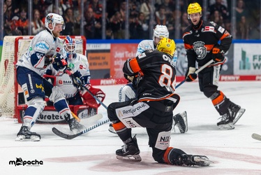 Löwen Frankfurt - Iserlohn Roosters - 14.11.24 - 053