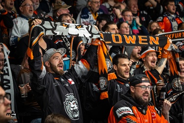 Löwen Frankfurt - Iserlohn Roosters - 14.11.24 - 058