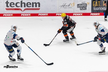 Löwen Frankfurt - Iserlohn Roosters - 14.11.24 - 059