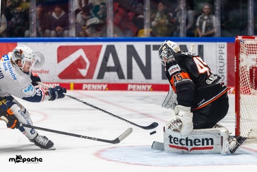 Löwen Frankfurt - Iserlohn Roosters - 14.11.24 - 068