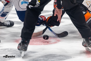 Löwen Frankfurt - Iserlohn Roosters - 14.11.24 - 069
