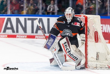 Löwen Frankfurt - Iserlohn Roosters - 14.11.24 - 070