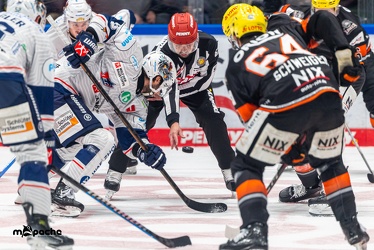 Löwen Frankfurt - Iserlohn Roosters - 14.11.24 - 071