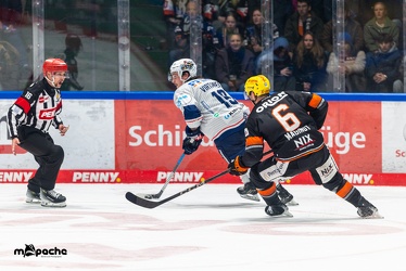 Löwen Frankfurt - Iserlohn Roosters - 14.11.24 - 072