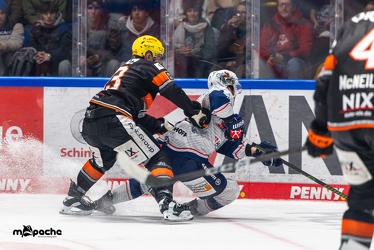 Löwen Frankfurt - Iserlohn Roosters - 14.11.24 - 073