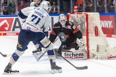 Löwen Frankfurt - Iserlohn Roosters - 14.11.24 - 075
