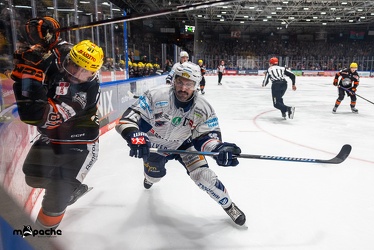 Löwen Frankfurt - Iserlohn Roosters - 14.11.24 - 079
