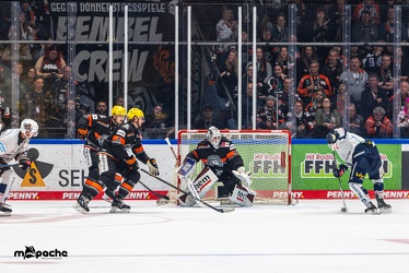Löwen Frankfurt - Iserlohn Roosters - 14.11.24 - 080