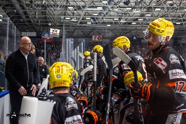 Löwen Frankfurt - Iserlohn Roosters - 14.11.24 - 083