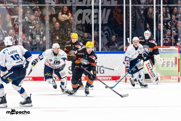 Löwen Frankfurt - Iserlohn Roosters - 14.11.24 - 084