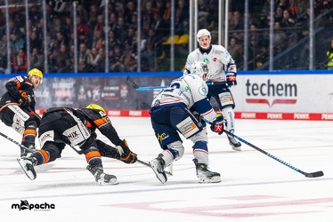 Löwen Frankfurt - Iserlohn Roosters - 14.11.24 - 085