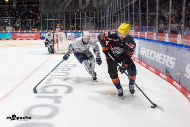 Löwen Frankfurt - Iserlohn Roosters - 14.11.24 - 086