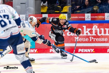 Löwen Frankfurt - Iserlohn Roosters - 14.11.24 - 087