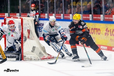 Löwen Frankfurt - Iserlohn Roosters - 14.11.24 - 092