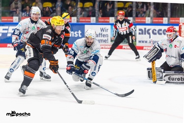 Löwen Frankfurt - Iserlohn Roosters - 14.11.24 - 093
