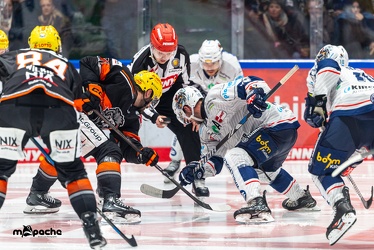 Löwen Frankfurt - Iserlohn Roosters - 14.11.24 - 096