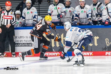 Löwen Frankfurt - Iserlohn Roosters - 14.11.24 - 097