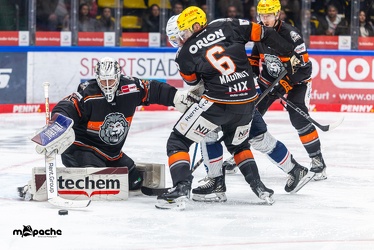 Löwen Frankfurt - Iserlohn Roosters - 14.11.24 - 099