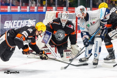 Löwen Frankfurt - Iserlohn Roosters - 14.11.24 - 100