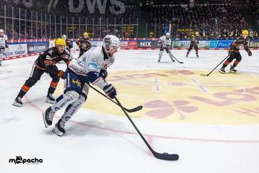 Löwen Frankfurt - Iserlohn Roosters - 14.11.24 - 101