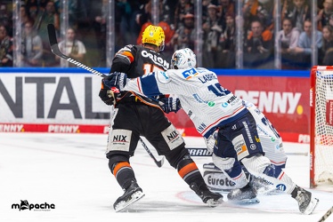 Löwen Frankfurt - Iserlohn Roosters - 14.11.24 - 108
