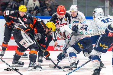 Löwen Frankfurt - Iserlohn Roosters - 14.11.24 - 109