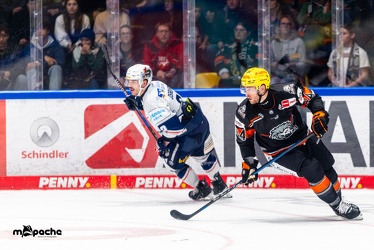 Löwen Frankfurt - Iserlohn Roosters - 14.11.24 - 118