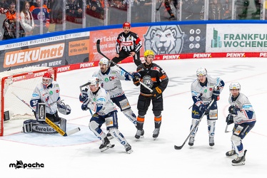 Löwen Frankfurt - Iserlohn Roosters - 14.11.24 - 119
