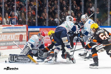 Löwen Frankfurt - Iserlohn Roosters - 14.11.24 - 123