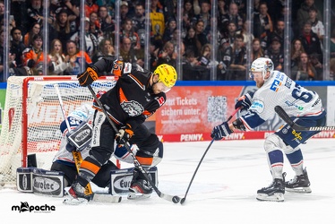 Löwen Frankfurt - Iserlohn Roosters - 14.11.24 - 124