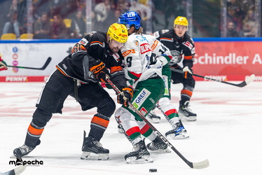 Löwen Frankfurt - Augsburg Panther - 26.11.24 - 014