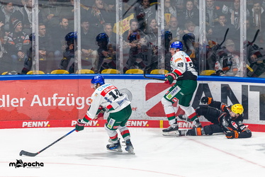 Löwen Frankfurt - Augsburg Panther - 26.11.24 - 015