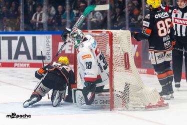 Löwen Frankfurt - Augsburg Panther - 26.11.24 - 016