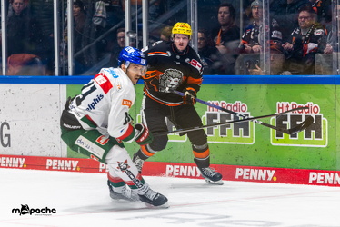 Löwen Frankfurt - Augsburg Panther - 26.11.24 - 018