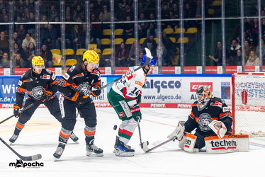 Löwen Frankfurt - Augsburg Panther - 26.11.24 - 022