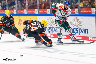 Löwen Frankfurt - Augsburg Panther - 26.11.24 - 023