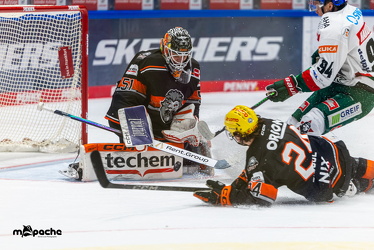 Löwen Frankfurt - Augsburg Panther - 26.11.24 - 026