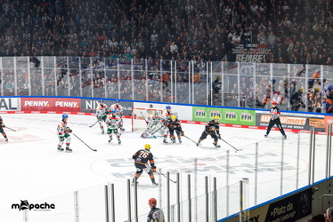 Löwen Frankfurt - Augsburg Panther - 26.11.24 - 029