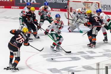 Löwen Frankfurt - Augsburg Panther - 26.11.24 - 030